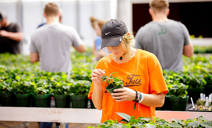 Student in greenhouse