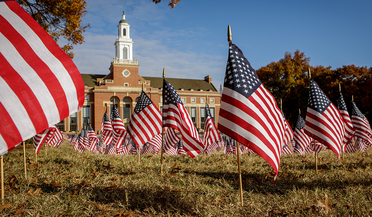Veterans day flags on library lawn