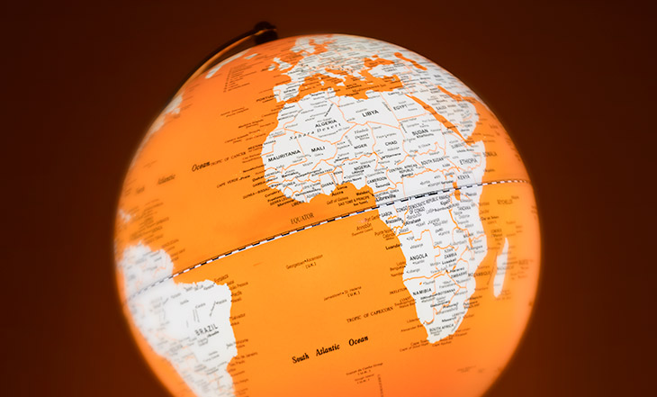 Orange globe