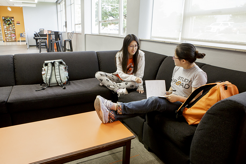 Two students studying in their dorm