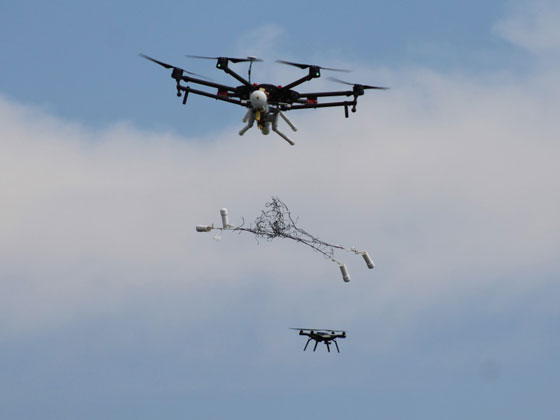 Drone catching smaller drone with net