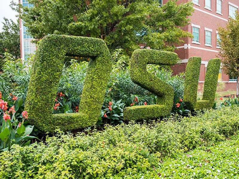 A topiary spells out OSU on campus.