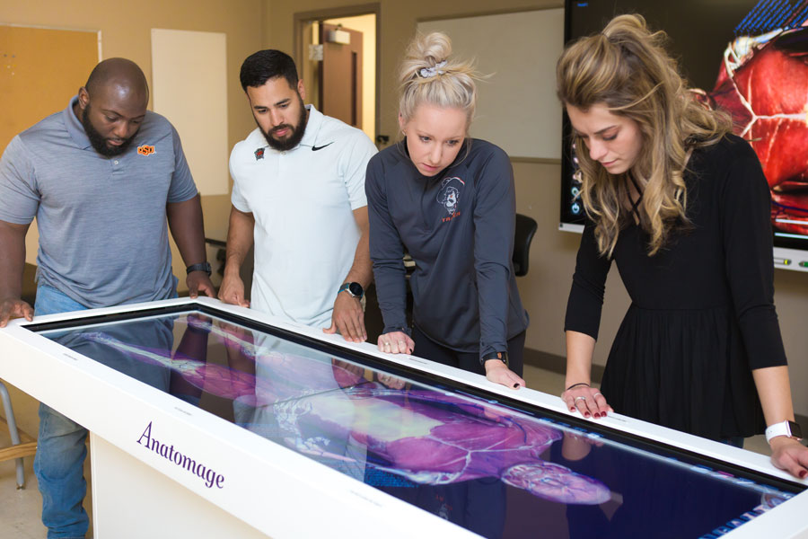 Students examine human anatomy