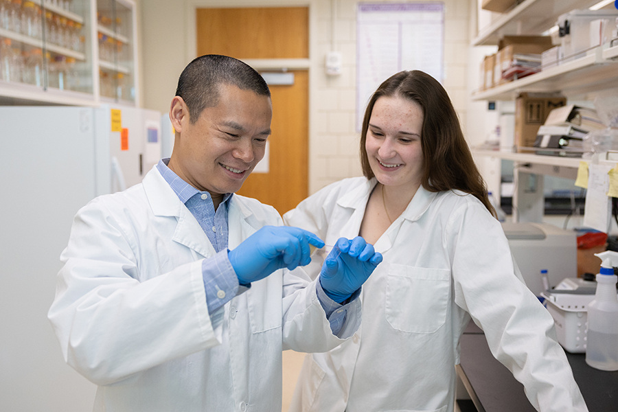 BIMB Major Page Image