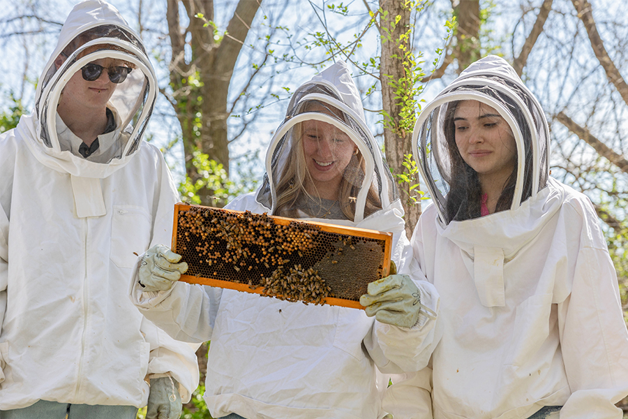 ENTO Major Page Image