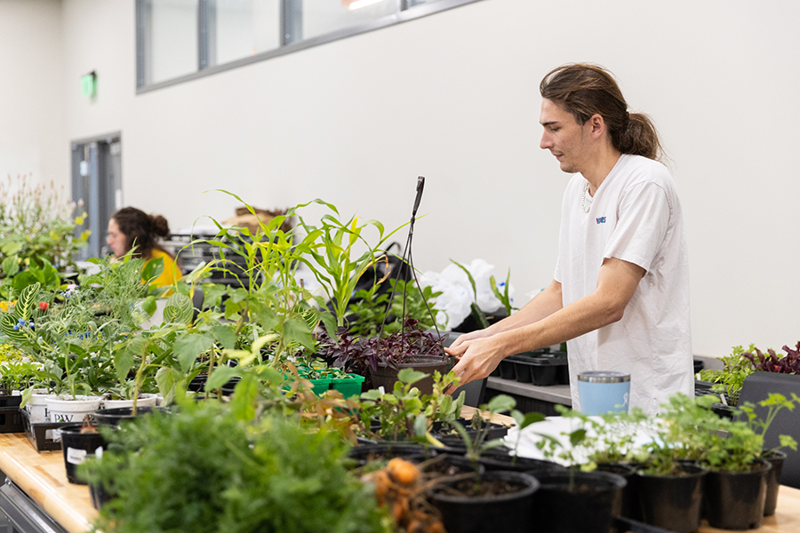 HORT Major Page Image