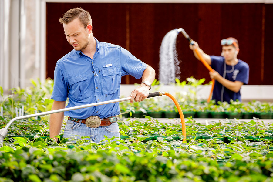 students watering plants in the greenhouse