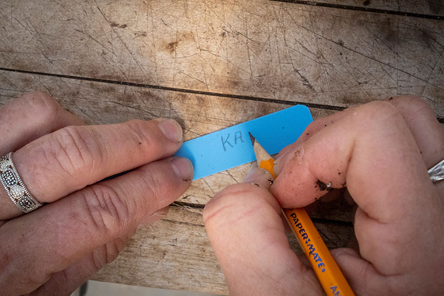 person writing on a label